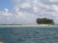 Caret island in the caribbean