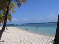 Caribbean beaches